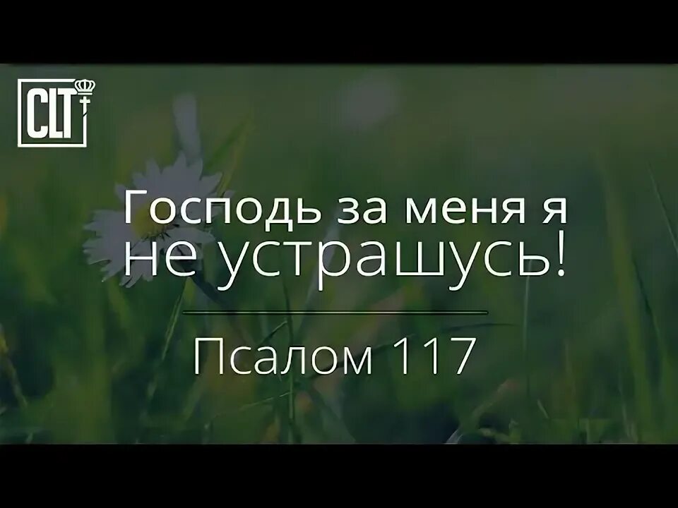 Псалом 117 читать