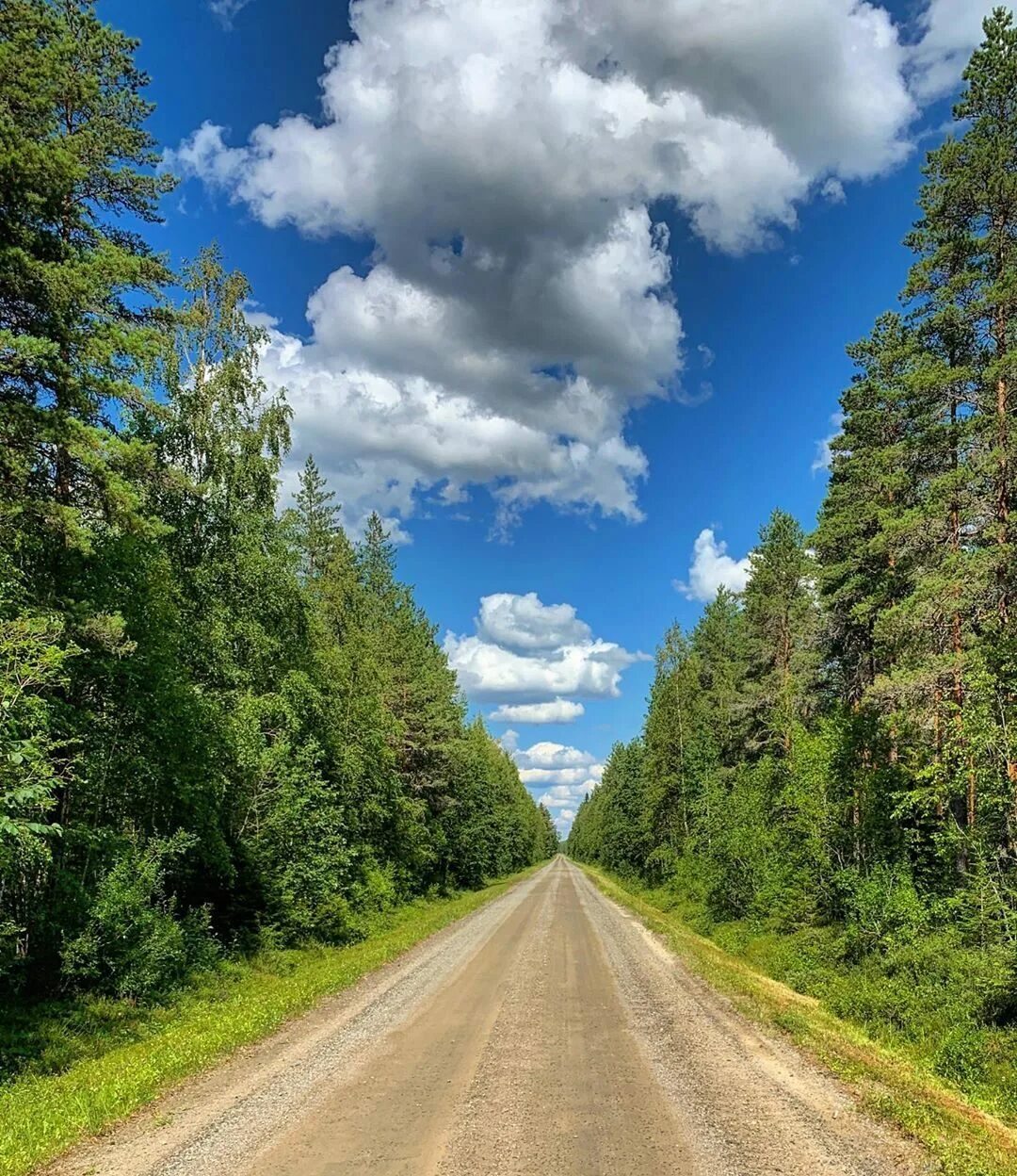 дом на дереве. деревенский дом у дороги. домики вдали. дорога дом друзья. друзья на рассвете.
