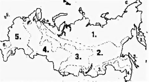 Карта природных зон раскраска