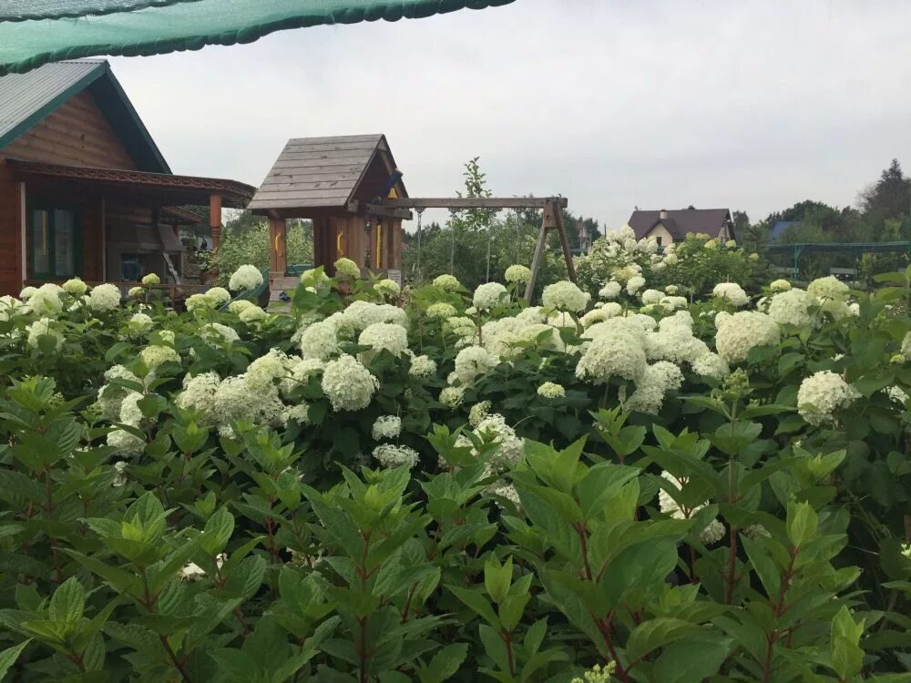 Садовый центр Гарденс Лесной городок. Пермский сад питомник Ванюки. Гарденс питомник. Питомник растений Лесной городок. Садовый городок