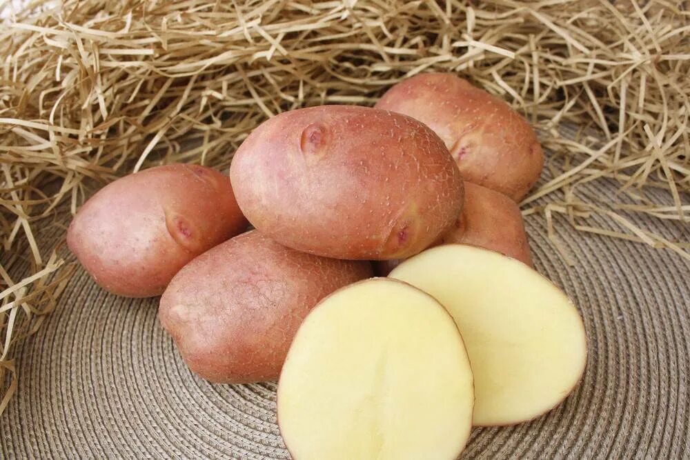 Беллароза картофель характеристика отзывы вкусовые. Сорт картофеля Журавинка. Картофель семенной Беллароза. Картофель сорт Родриго. Сорт картошки Журавинка.