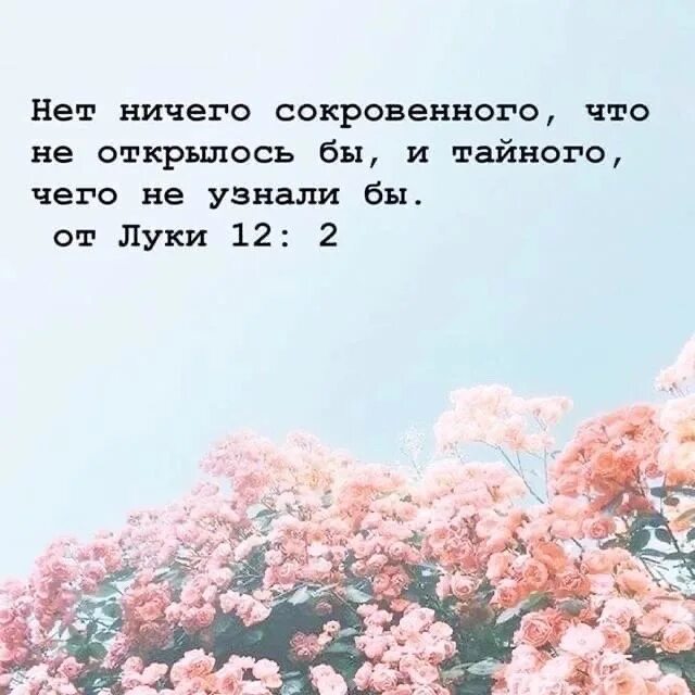 Нет ничего Тайного. Нет ничего Тайного что не стало бы явным. Нет ничего Тайного что не стало бы явным Евангелие. Нет ничего Тайного что не сделалось бы явным.