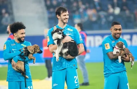 Собака футболист