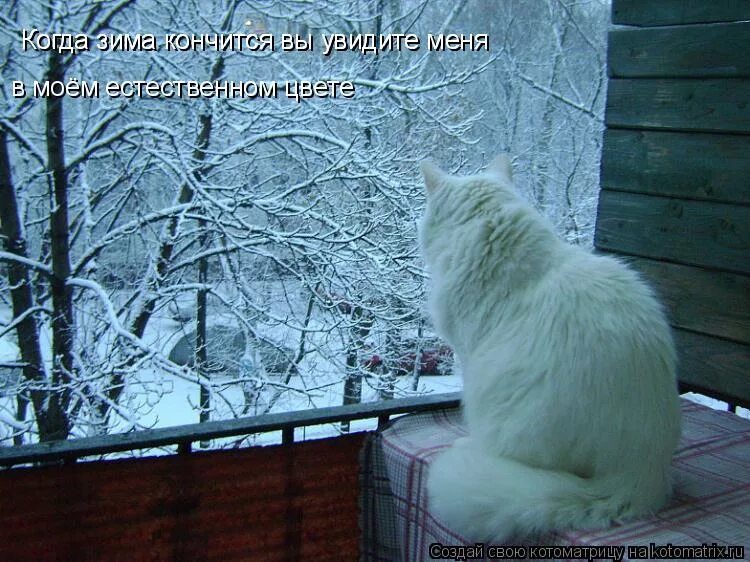 Скорее сейчас