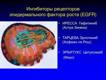 Ингибитор фактора