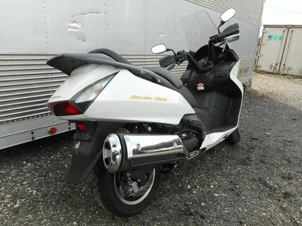 Silver wing 600