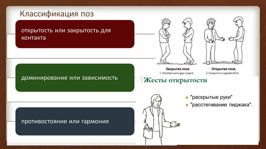 Открытый человек признаки. Позы при общении. Открытые и закрытые позы. Позы человека в общении. Закрытые позы невербального общения.