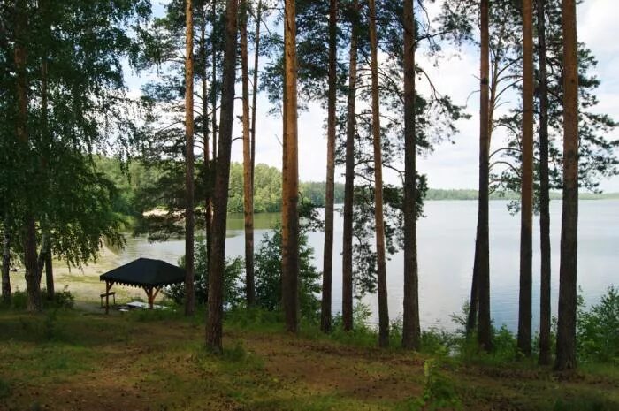 озеро балтым верхняя пышма. балтым свердловская. озеро балтым. балтым свердловская. пляж лесная сказка озеро балтым.