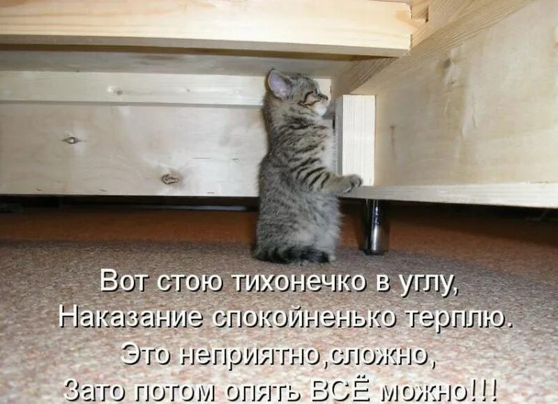 В угол ставить можно
