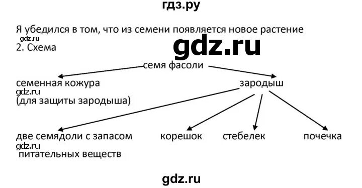 Биология 5 класс параграф 14 рабочая тетрадь