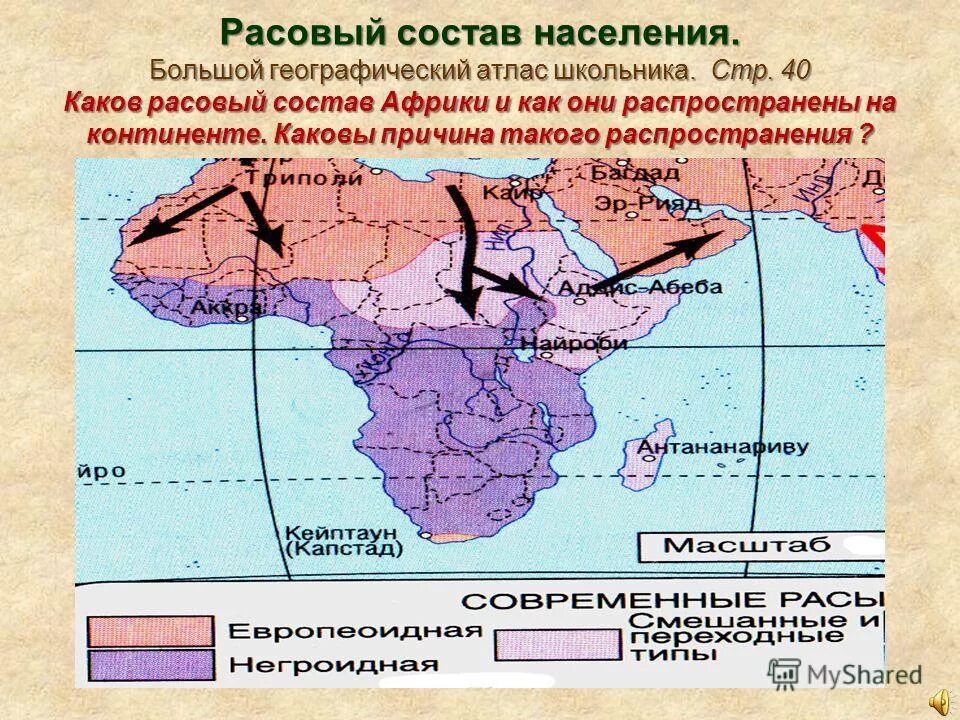 Расы африки карта. Смешанные расы людей. Каковы отличия расового состава. Расово этнические. Каковы отличия расового состава.