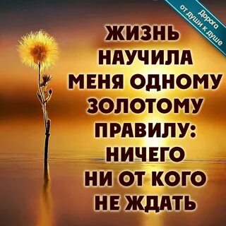 Которые не зависят ни от