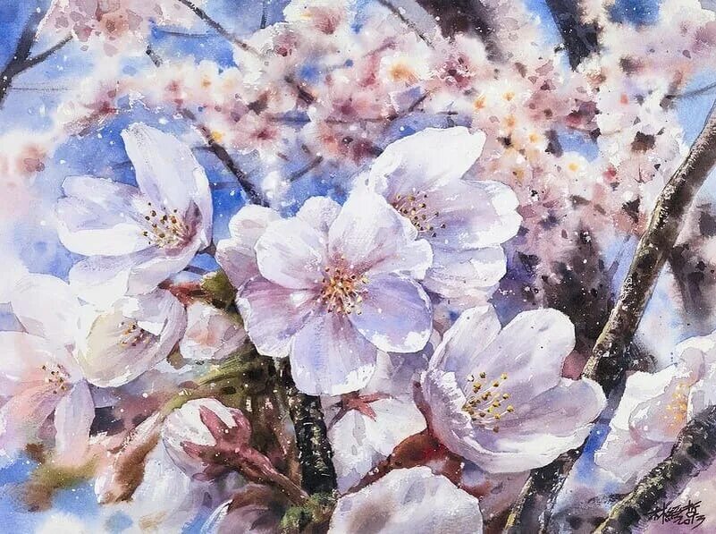 Sakura lin. Lin ching che картины. тайваньский художник lin ching che. акварель живопись lin ching che. лин чинг че акварель цветы.