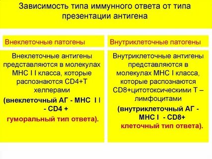 Свойства иммунного ответа