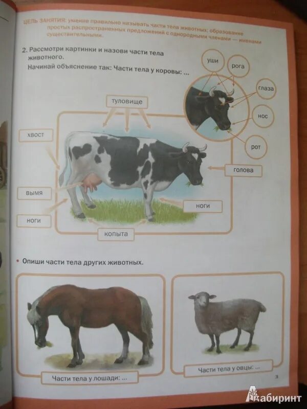 Тематический словарь в картинках мир животных. Развитие речи мир животных. Дурова тематический словарь в картинках. Развитие речи мир животных. Тематический словарь в картинках.