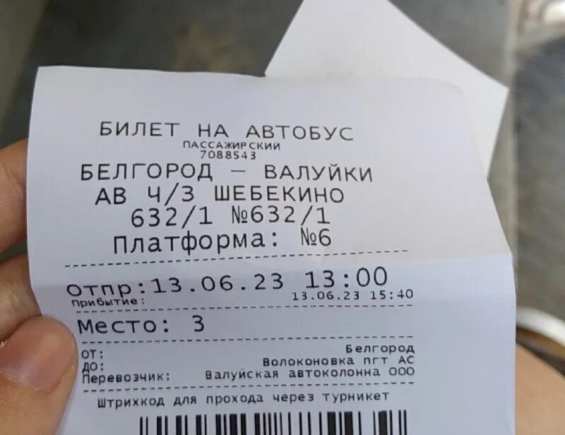 сколько ехать на автобусе до белгорода. расписание автобусов белгород ростов. расписание автобусов краснодар белгород. сколько ехать на автобусе до белгорода. сколько ехать на автобусе до белгорода.