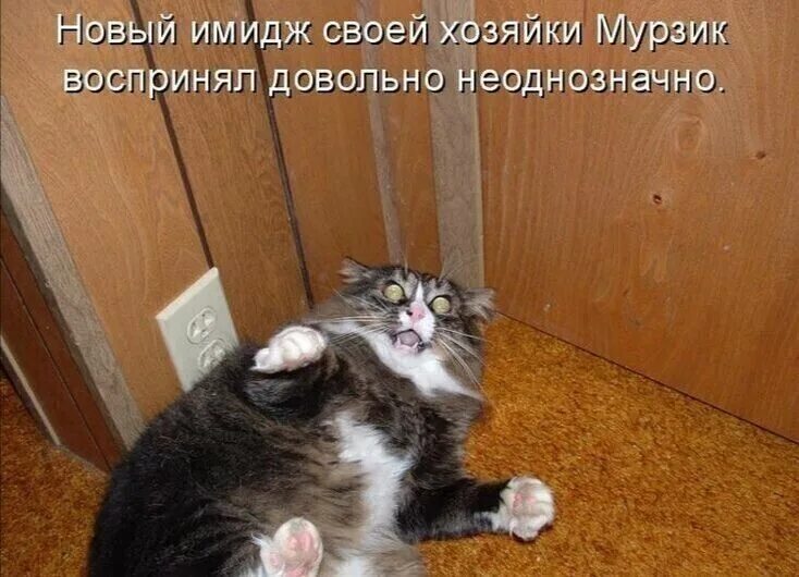 Вот эту руку сюда. Вот эту руку сюда. Доктор у меня болит. Меня не трогать. Физрук негр.