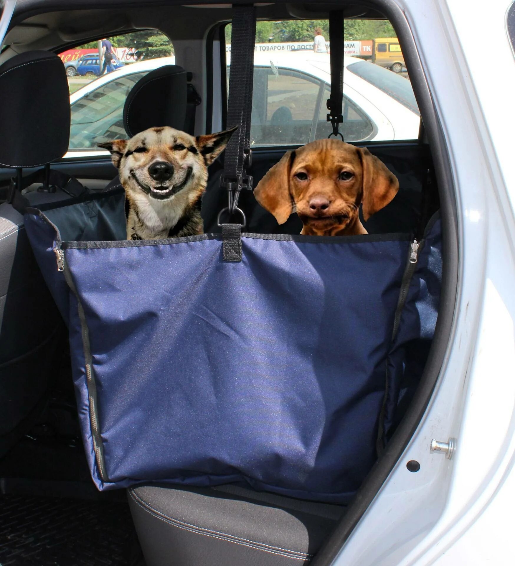 Собака в машине. Для перевозки собак в автомобиле. Автогамак для перевозки собак. Перевезти личный автомобиль