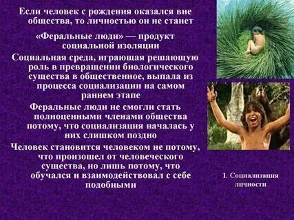 Примеры людей живущих вне общества Отношения с окружающими