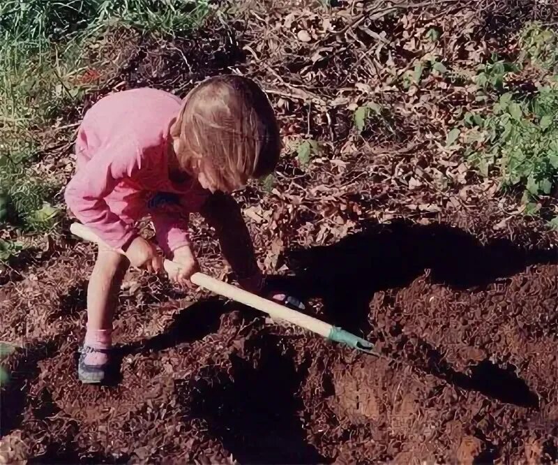 Digging holes. Мальчик копает. Мальчик копает землю лопатой. Дети копают. Яма с лопатой.