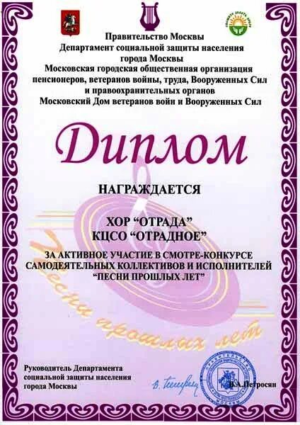Меры социальной поддержки ветеранов. Меры социальной защиты ветеранов. Социальная защита ветеранов дипломная. Грамота руководителю отдела. Инвалид с дипломом.