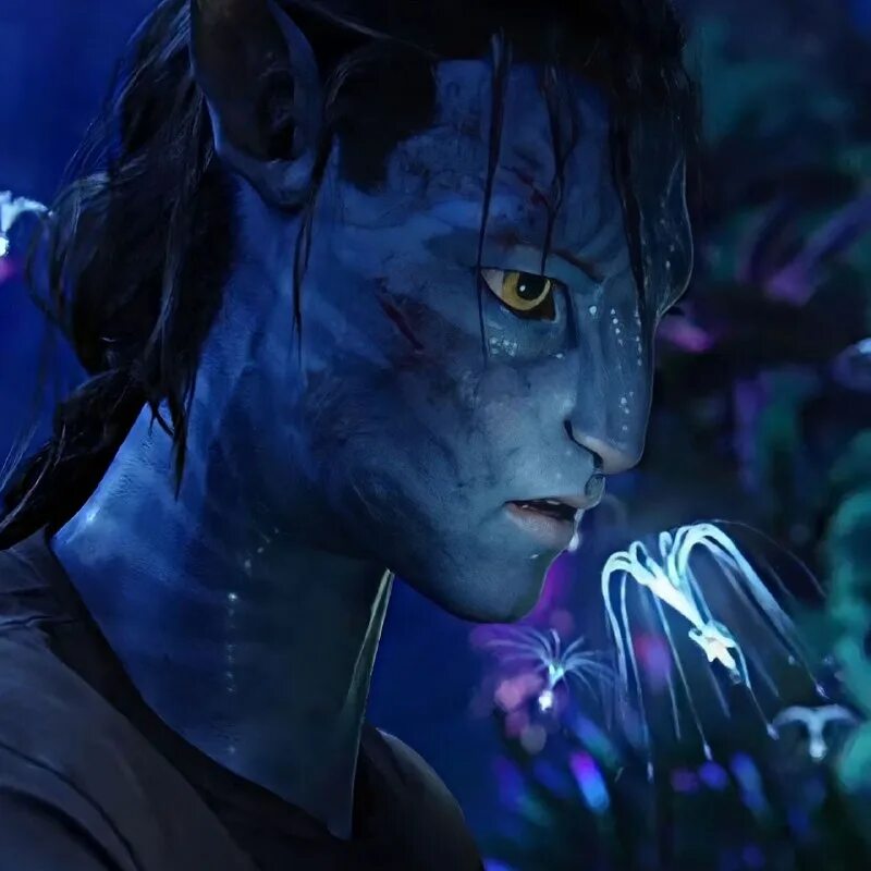 Avatar 50 50. Аватара» Джеймса Кэмерона.. Аватар Кэмерон. Джеймс Кэмерон / «аватар» (2009). Джеймс аватар