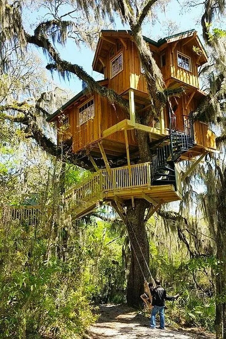 Построй настоящий на дереве дом. Алникский дом на дереве. tree house кишинев. домик в деревне. деревянный домик на дереве.