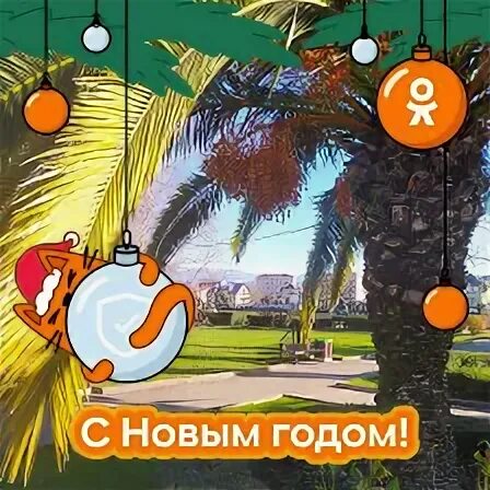 Лила сочи