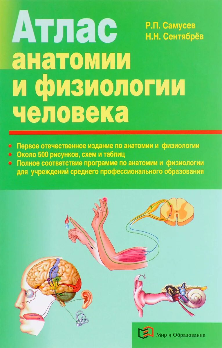 Атлас анатомии и физиологии человека Самусев. Атлас анатомии человека Самусев Сентябрев. Самусев р п атлас анатомии человека 1 издание. Учебник Самусев Сентябрев анатомия. Атлас студентам анатомии