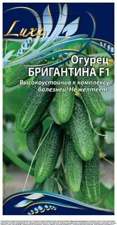 Хозяйство огурцова