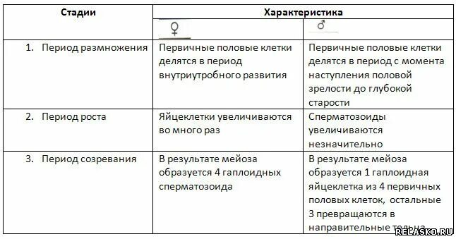 Гаметогенез стадии характеристика. Фазы гаметогенеза таблица характеристика. Стадии образования половых клеток таблица. Характеристика периодов гаметогенеза.