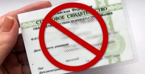 Свидеть