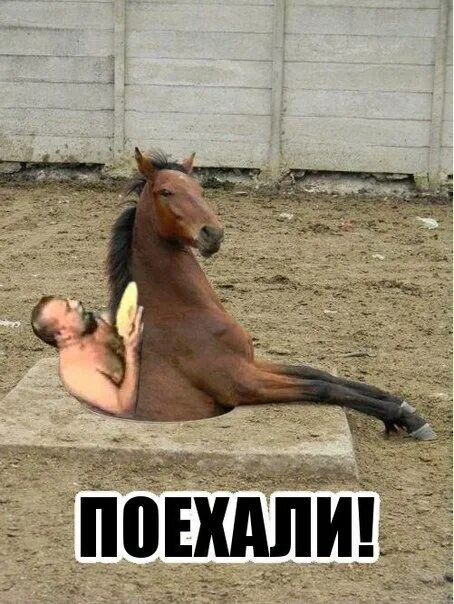 Он коней повел шажком в каком городе