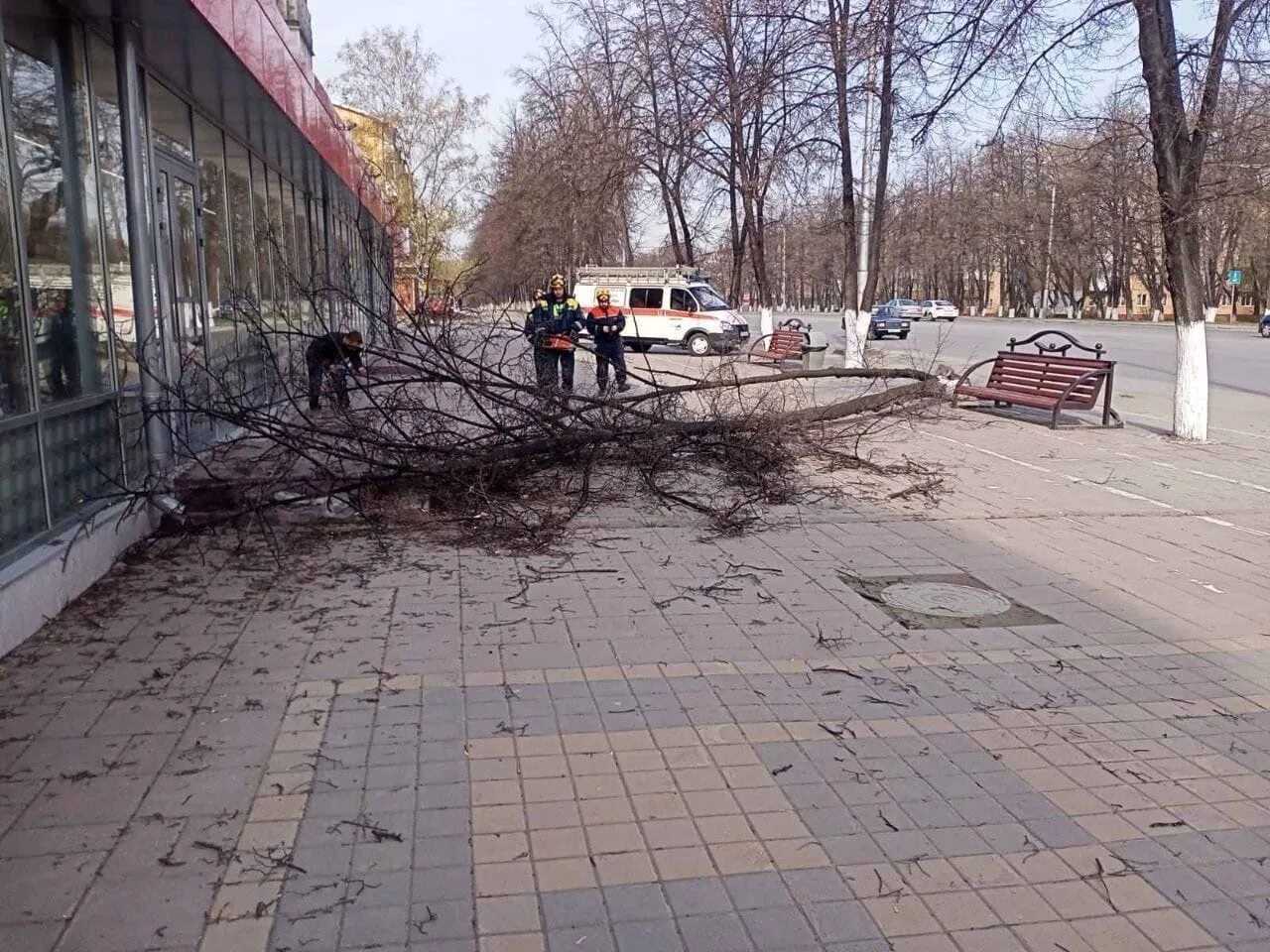 3 апреля сильный ветер. Ураган в городе. Последствия сильного ветра. Ураганный ветер в городе. Ураган ЧС.