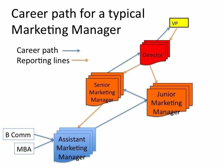 Career Path. Модель VPFLOWSCOPE M. CVXVP модель. Маркетинг МБА.