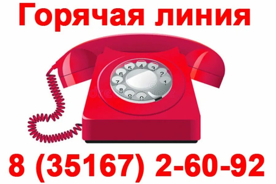 горячая линия. горячая линия номер телф. сектор мобильной службы. позвонить на горячую линию. горячая линия по выплатам от 3 до 7.