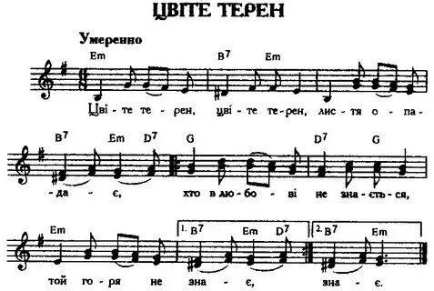 Украинская песня цвети терен