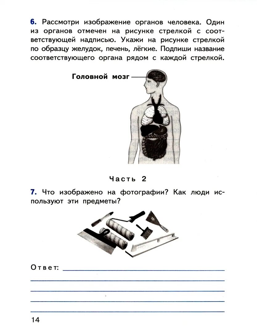 Известные люди московской области впр 4 класс. Изображение человека 4 класс окружающий мир для ВПР. ВПР.окружающий мир 4 класс. Человек 4 класс окружающий мир ВПР. Опыты ВПР 4 класс окружающий мир.