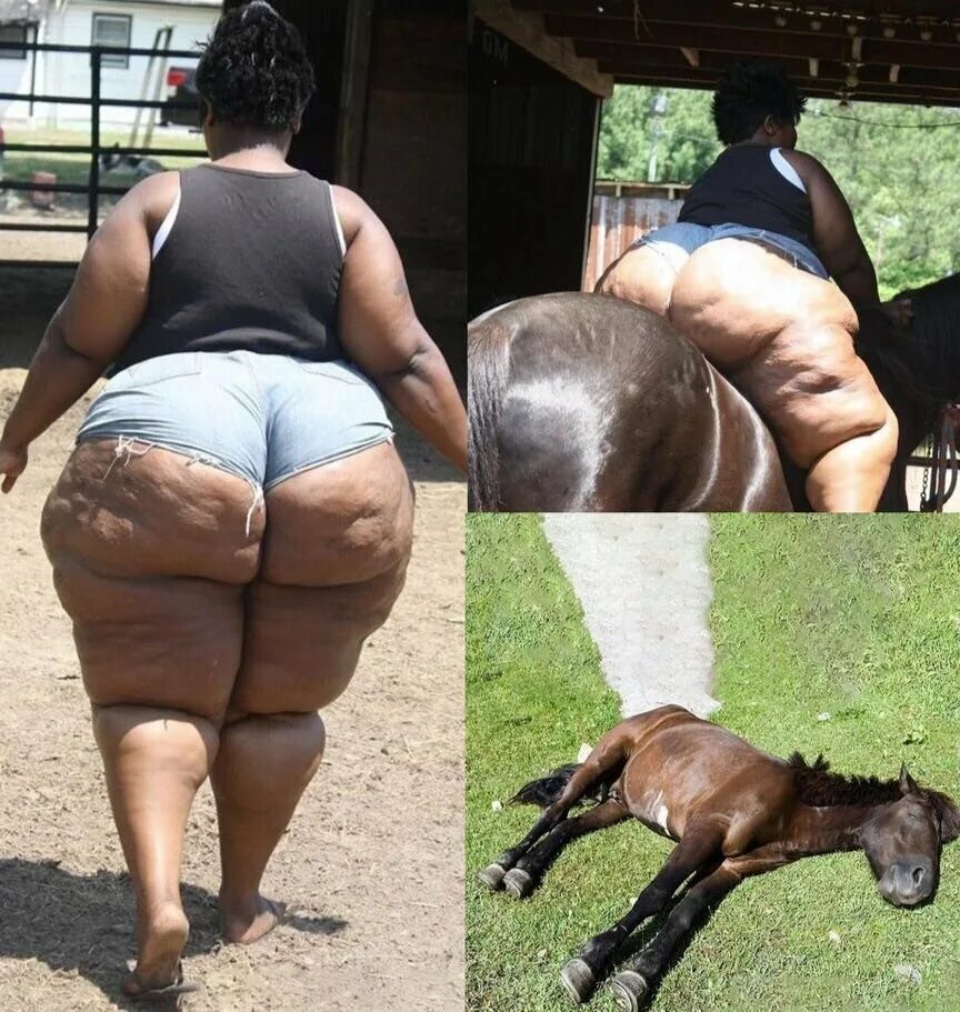 Толстая тетка на лошади. Приколы ржака до слез