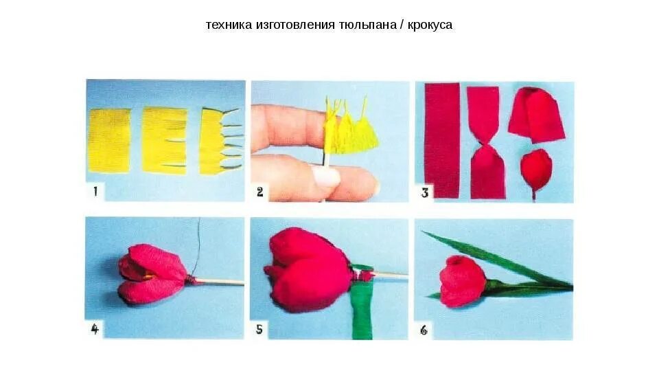 Цветы из креповой бумаги тюльпаны. Тюльпан гофробумага. Тюльпан попугайный из гофрированной бумаги. Тюльпаны из гофрированной бумаги пошагово. Цветок крокус своими руками оригами