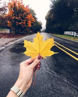 Осенние картинки на аву