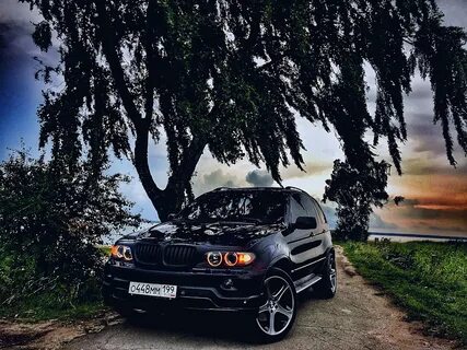 Скачай 53 8