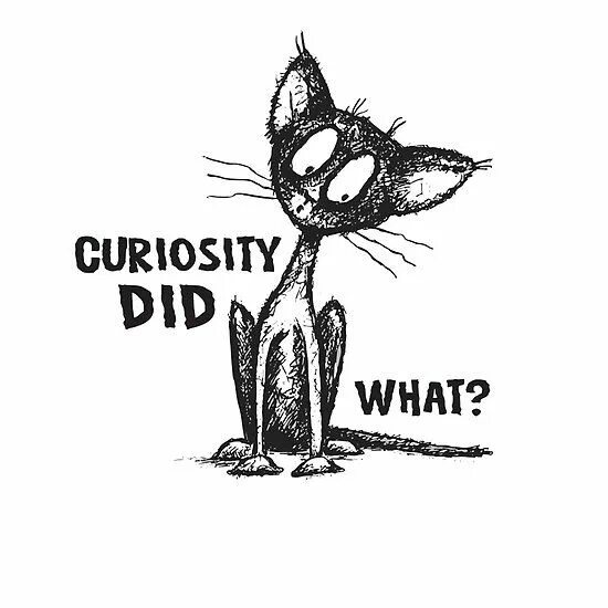 Curiosity killing the cat. Curiosity Killed the Cat. Curiosity Killed the Cat русский эквивалент. Пословица Curiosity Killed a Cat.. Curiosity Killed the Cat Мем.