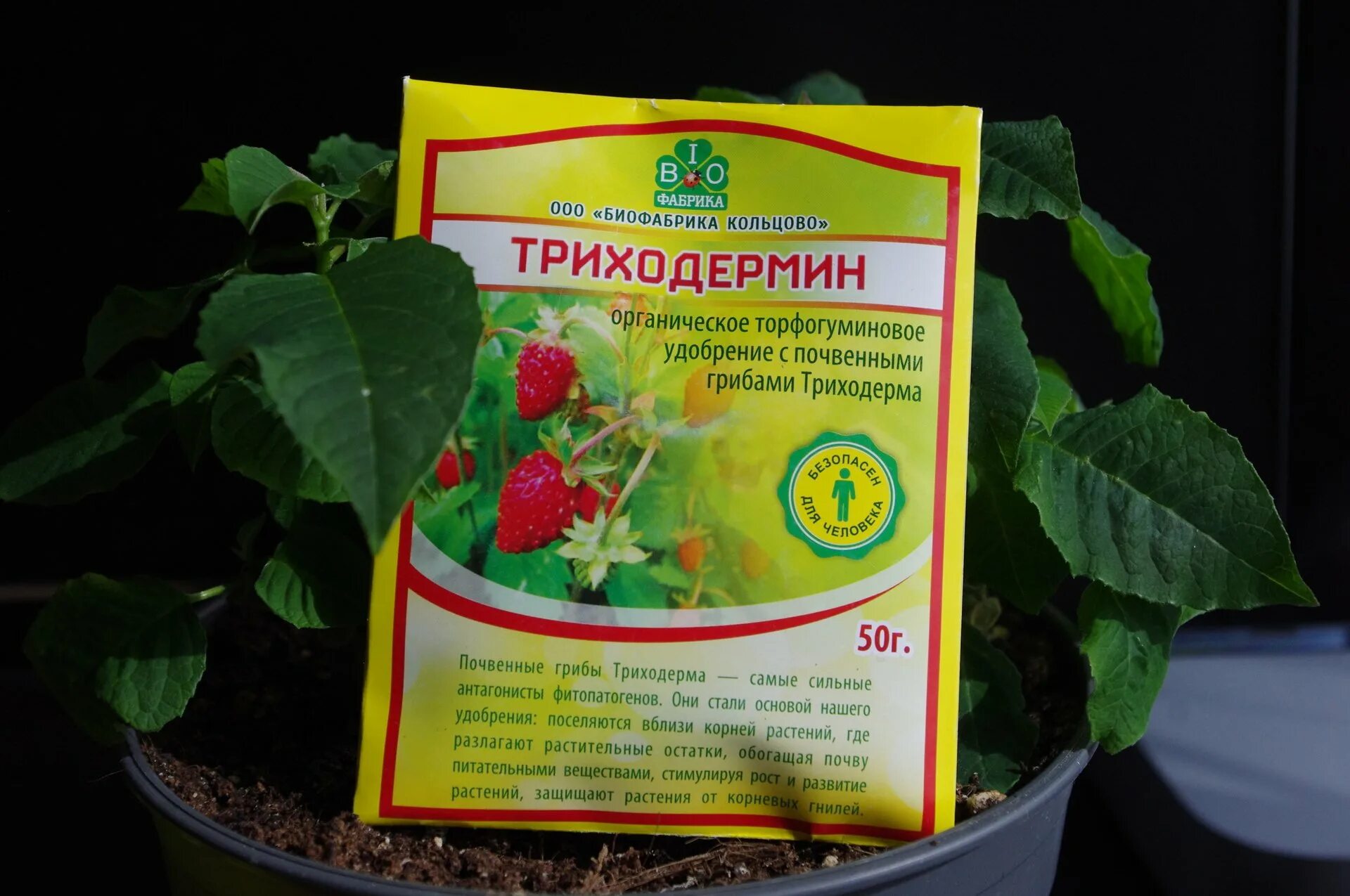 Триходермин биопрепарат. Триходерма вериде 15г (компл. Обработка почвы триходермой. Триходермин суспензия 0,25 л. Обработка почвы триходермой.