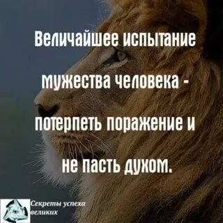 Испытание храбрости
