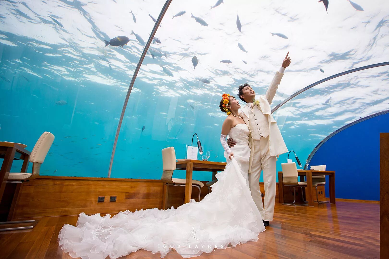 Церемония под. Свадьба на Мальдивах. Свадебная фотосессия под водой. Свадебная церемония на Мальдивах. Подводный ресторан.