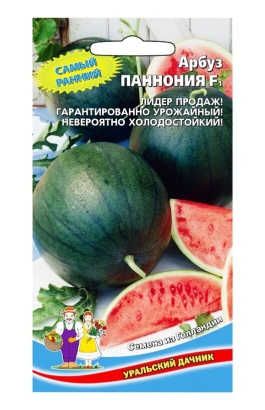 Уральские арбузы. Арбуз Паннония Уральский Дачник. Арбуз Уральский Скороспел Уральский Дачник. Арбуз Паннония f1. Арбуз Паннония f1 5 шт.