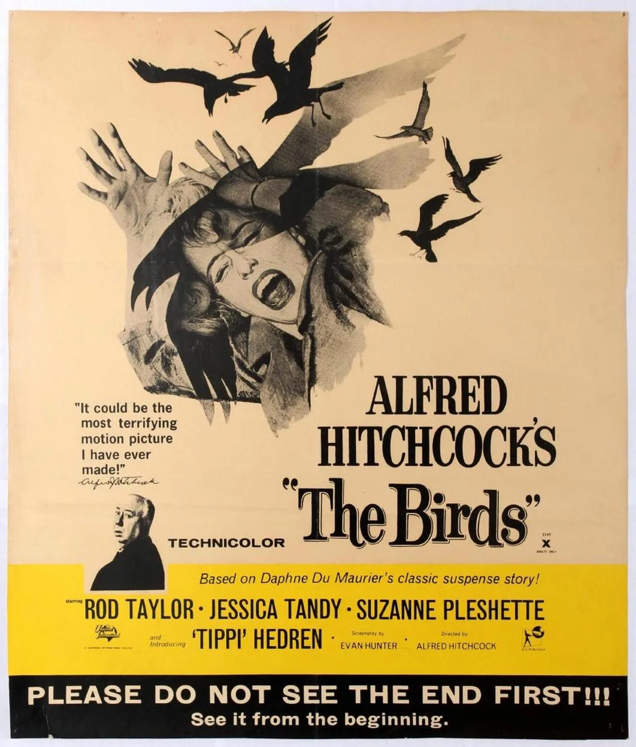 The birds part 1