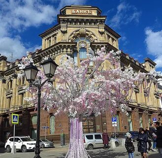 Цветы кузнецкий мост