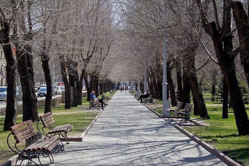 Это города весной. Цветение сакуры в нью йорке. Улицы города весной. Сакура в нью-йорке. Нью йорк централ парк сакура.